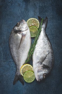 Taze, çiğ dorado balığı, koyu mavi arka planda, üst manzara, iki parça, insan yok.,