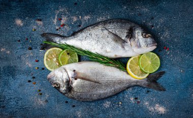 Taze, çiğ dorado balığı, koyu mavi arka planda, üst manzara, iki parça, insan yok.,