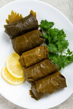 Dolma, pirinçli kıyma, üzüm yapraklı kıyma, kıymalı rulo, beyaz tabakta, üst manzara, insan yok, dolma yok, doldurulmuş üzüm yaprakları,