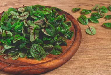 Kırmızı damarları, mikro-yeşillikleri olan taze bebek kızılağaç yaprakları tabakta.,