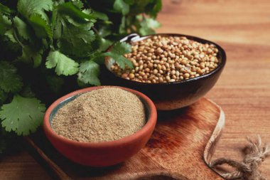 Bir sürü taze kişniş, kişniş tohumu ve toz kabı, yakın çekim, üst manzara, insan yok, yiyecek ve içecek yok.,