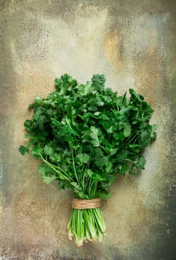 a bouquet of fresh coriander, a bunch of coriander on the table, top view, clipart