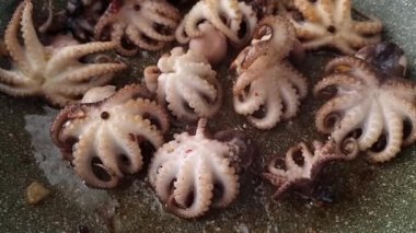 Bebek ahtapot pişirmek, tavada, zeytinyağında sarımsaklı, ev yemeği, insan yok, mobil video,