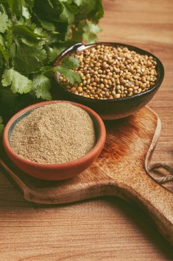 Bir sürü taze kişniş, kişniş tohumu ve toz kabı, yakın çekim, üst manzara, insan yok, yiyecek ve içecek yok.,