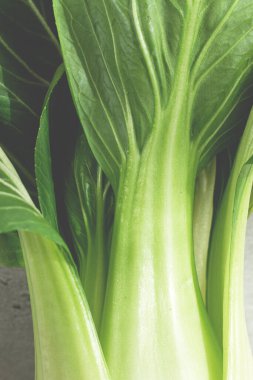 Taze bok choy, yakın plan, açık gri yüzey, üst manzara, doğal ışık,