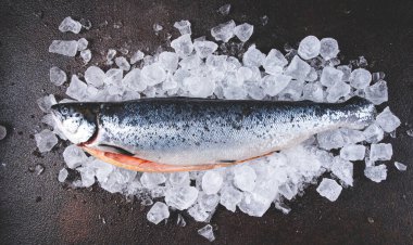 Buzlu taze donmuş somon, pişirmeye hazır, üst görüş, koyu arka plan.,