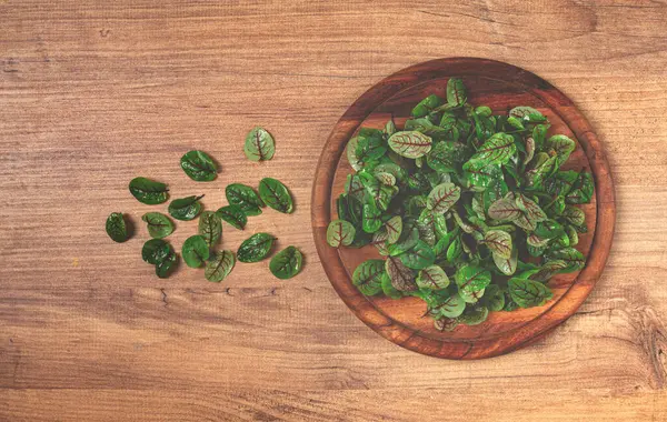 Kırmızı damarları, mikro-yeşillikleri olan taze bebek kızılağaç yaprakları tabakta.,