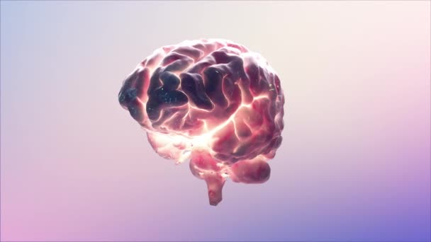 Human Brain Concept Illustrating Brain Activity Transparent Mind — Vídeo de Stock