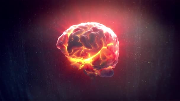 Ludzki Mózg Ciepłym Blasku Reprezentującym Aktywność Mózgu — Wideo stockowe