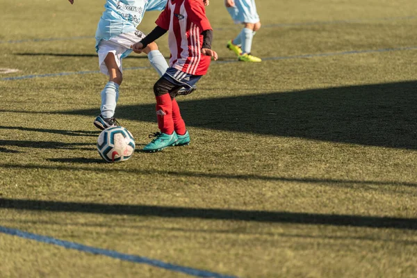 Galego Crianças Futebol Liga Jogo Treinamento — Fotografia de Stock