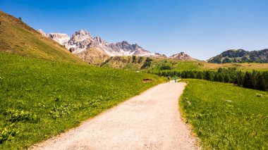 Hikers in mountains, beautiful scenic landscape of Alps, Passo San Pellegrino, North Italy