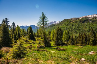 Alpine landscape walking from Passo San Pellegrino to Fuciade refuge, North Italy