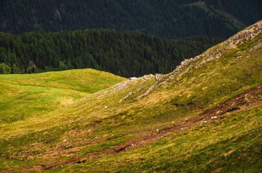 Alpine landscape walking from Passo San Pellegrino to Fuciade refuge, North Italy