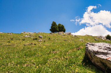 Alpine landscape walking from Passo San Pellegrino to Fuciade refuge, North Italy