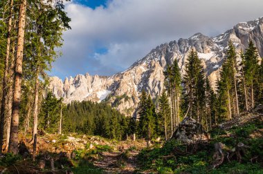 Alpine landscape walking from Passo San Pellegrino to Fuciade refuge, North Italy