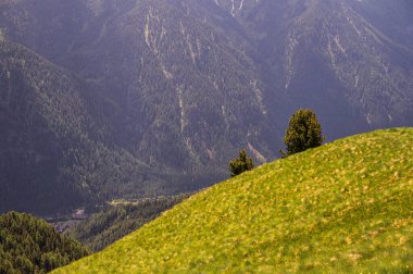 Alpine landscape walking from Passo San Pellegrino to Fuciade refuge, North Italy