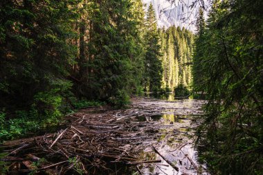 Beautiful scene at lago di Fusine. Summer scenery at lake Fusine in North Italy in the Alps. 
