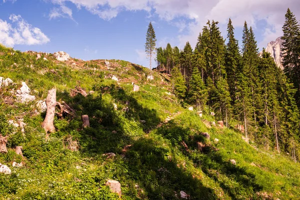 Mountain landscape inside the Buffaure region, Val di Fassa, Dolomites Italy
