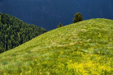 Alpine landscape walking from Passo San Pellegrino to Fuciade refuge, North Italy