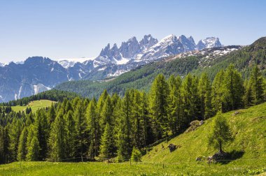 Alpine landscape walking from Passo San Pellegrino to Fuciade refuge, North Italy