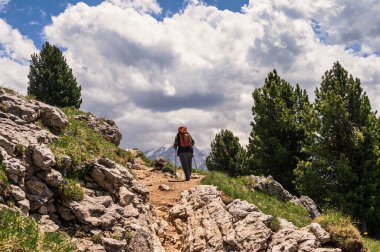 Hikers in mountains, beautiful scenic landscape of Alps, Passo San Pellegrino, North Italy