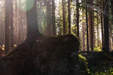 Alpine landscape walking from Passo San Pellegrino to Fuciade refuge, North Italy