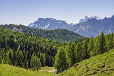 Alpine landscape walking from Passo San Pellegrino to Fuciade refuge, North Italy