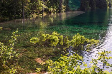 Beautiful scene at lago di Fusine. Summer scenery at lake Fusine in North Italy in the Alps. 