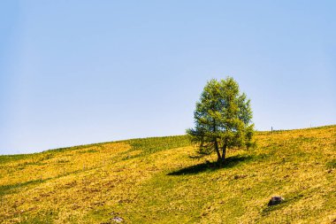 Alpine landscape walking from Passo San Pellegrino to Fuciade refuge, North Italy