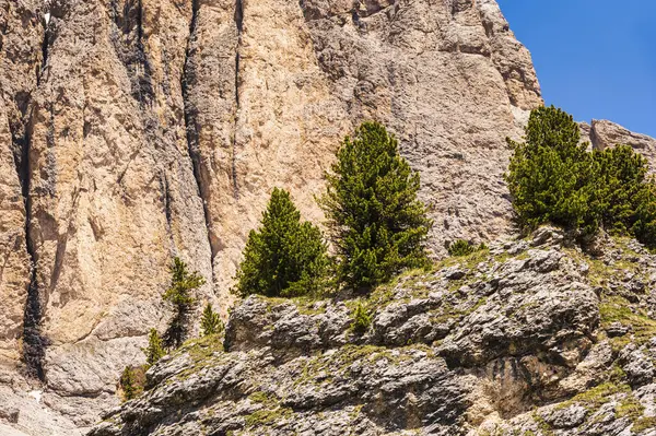 stock image Alpine landscape walking from Passo San Pellegrino to Fuciade refuge, North Italy