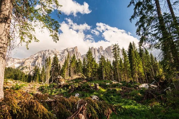 stock image Alpine landscape walking from Passo San Pellegrino to Fuciade refuge, North Italy