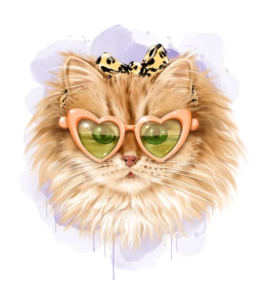 戴著太阳镜很可爱 瓦伦丁猫头带上的时尚猫咪 — 图库照片#