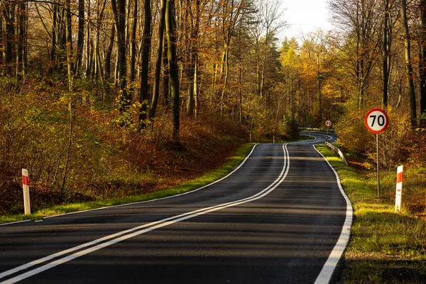 Ormanda sonbahar yolu