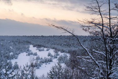 Karla kaplı ağaçlarla kaplı kış manzarası