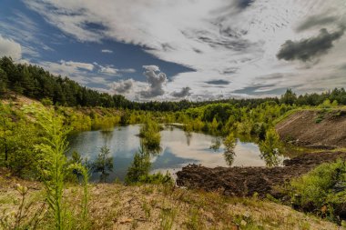 Ormanda ağaçlarla çevrili güzel bir nehir görüntüsü.