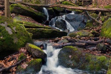 Sonbahar ormanında şelale