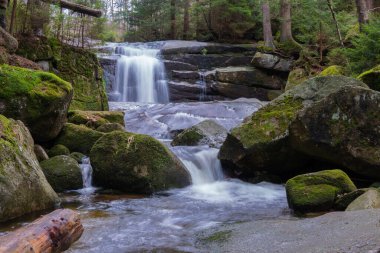 Ormanda güzel şelale.