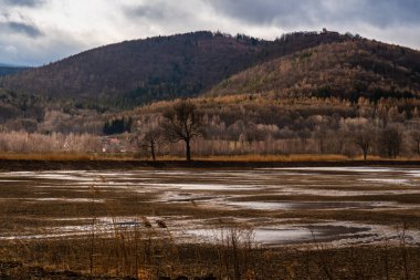 Polonya dağlarındaki kartopu yamacının manzarası