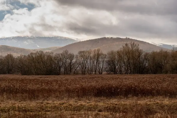 Karpatlar 'ın dağlarındaki vadinin sonbahar manzarası