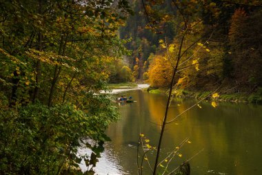 beautiful view of the river in the forest clipart