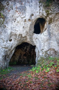Dağlarda taş mağarası, Krakw-Czstochowa Jura - Strzegowa 'daki parlak mağara