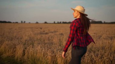 Hasır şapkalı çiftçi kadın altın buğday tarlasında yürüyor ve tahıl mahsullerini inceliyor. Kırsal kesimlerde tarım işçisi araştırmacısı.