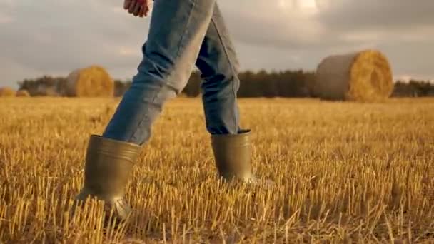 Agriculteur Bottes Caoutchouc Extérieur Dans Champ Près Agronome Travail Marcher — Video