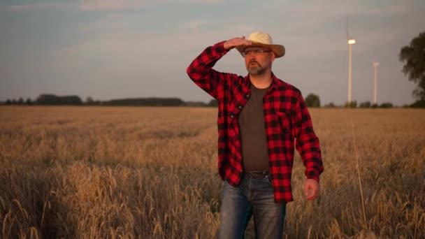 日落时分 身穿红衫 头戴草帽的农夫穿过成熟的麦田 农业学家 农业作物研究人员 — 图库视频影像