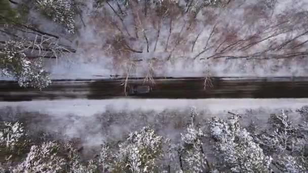越野车在结冰的路上行驶 探索着冬季覆盖着积雪森林的地方景观 旅行旅程和健康积极的生活方式概念 — 图库视频影像