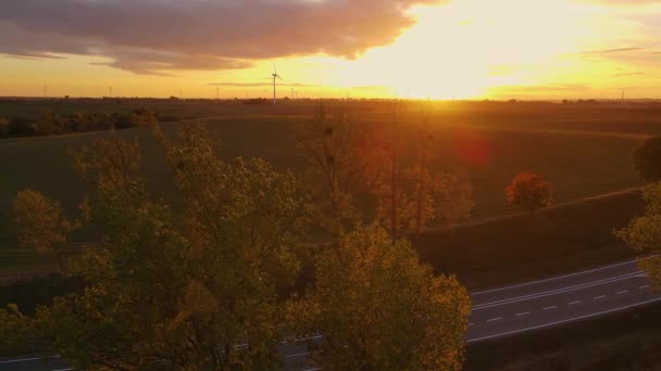 Aerial View Road Między Pomarańczowymi Jesiennymi Drzewami Wirującymi Wiatrakami Polu — Wideo stockowe