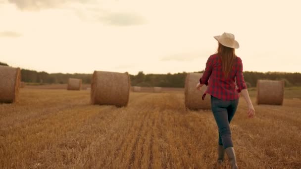 Жінки Робітниці Пшеничному Полі Насолоджуються Свободою Лугу Заході Сонця Жінка — стокове відео