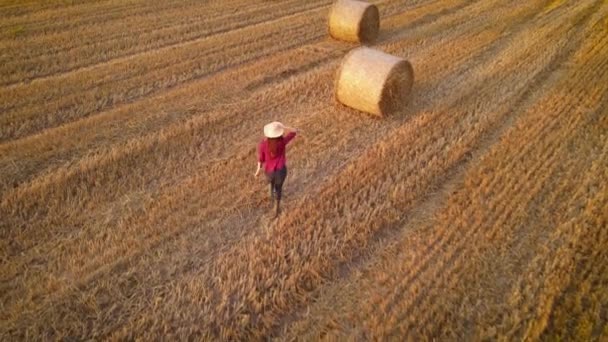 从空中看 农妇在黄小麦田里奔跑 农耕收获田里穿着橡胶靴的女子行动迟缓 穿着橡胶靴的农民在田里干活 肥沃的土地 — 图库视频影像