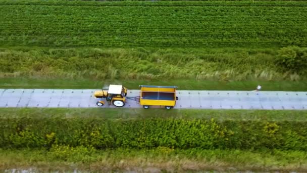 Tracteur Avec Remorque Pour Récolte Grain Blé Mûr Conduisant Par — Video