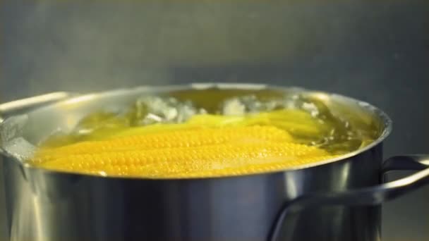 Küche Kochen Mexikanisches Essen Gelber Süßmais Und Goldener Reifer Mais — Stockvideo
